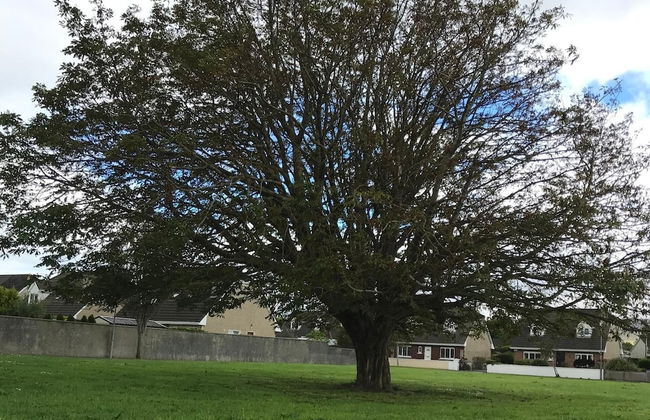 Home From Home, Tralee. Ideal Location - Foto 27