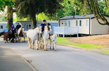 WL56 - FREE WIFI -Amazing Cosy Three Bedroom Mobile Home with DECKING Haggerston CASTLE Holiday Park - ENTERTAINMENT PASSES NOT INCLUDED! - Foto 12