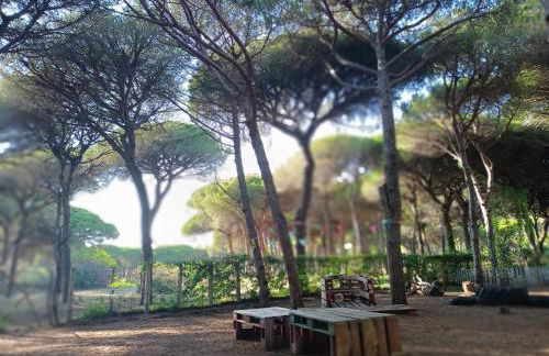 The PineForest Cabin - Foto 25