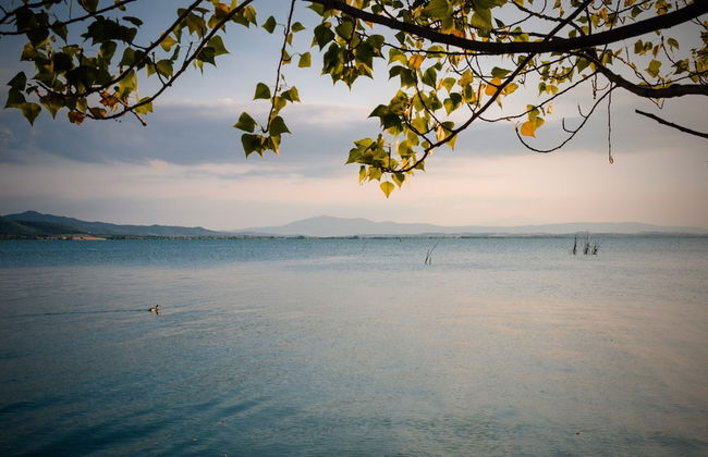 Agriturismo Casa Greppo - Il Mandorlo - Foto 79