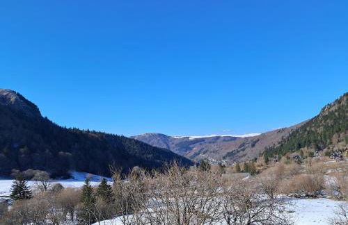 Appartement F2 au pied des pistes, 6 couchages, Mont-Dore - FR-1-415-175 - Foto 13