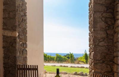 Cincinnato Wine Resort - Foto 57