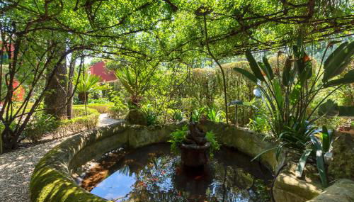 Vila Libania - Foto 2, Garden, Garden view