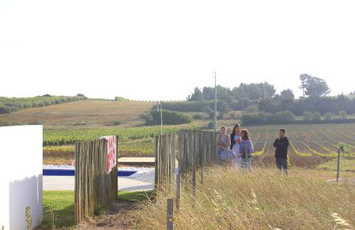 Entre Vinhas & Mar - Foto 103