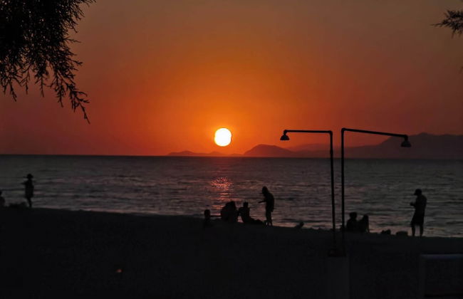 Freeman Greenlees Classical Greek - Foto 30