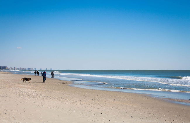 Jade Tree Cove - Foto 46