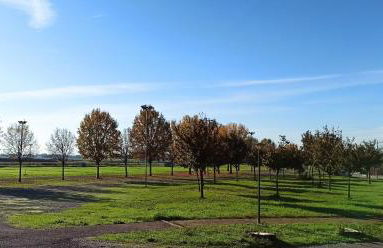 Appartamento Cuore Veneto - Photo 13