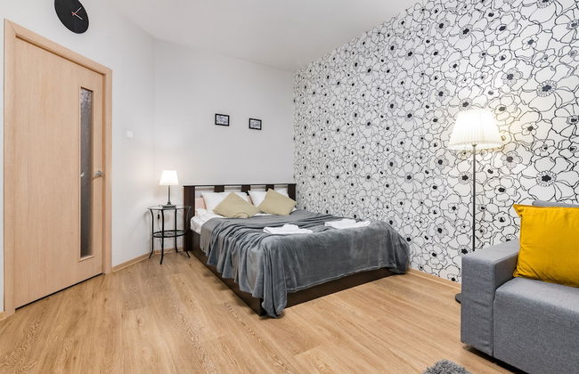 One Bedroom Great View Apartment near Gazprom Arena, UEFA 2022 - Foto 5