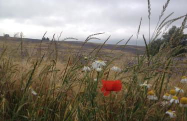 Haus Vineta - Foto 10