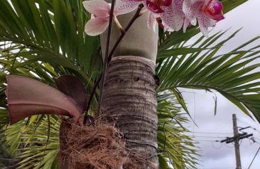 Loft Reserva do Sahy - Foto 18