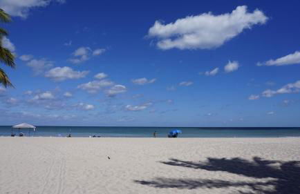 Sunrise on the Intracoastal - Foto 39