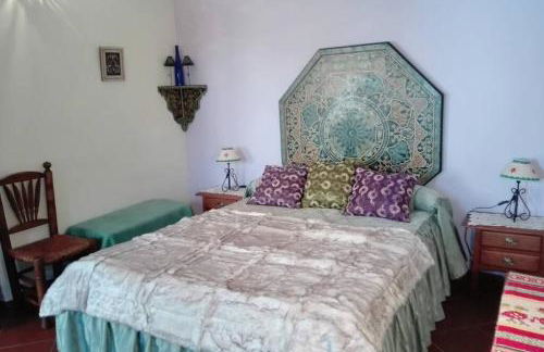 Casa Pedregosa Bubión - Photo 40