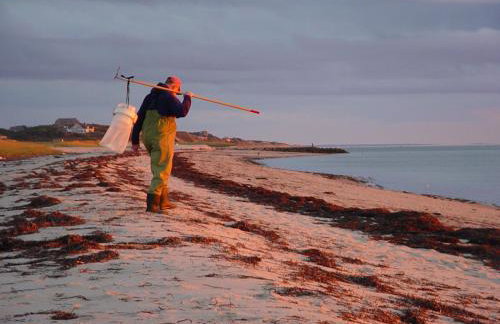 Cape Escape Chatham 5 Star Beach Chic 5 Min Walk to Beach-Newly Renovated Private Retreat AC - Foto 45