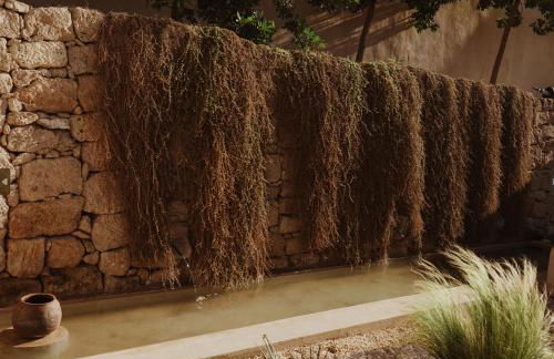 Ecohotel El Agua - Foto 60