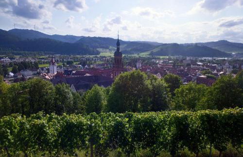 Ferienwohnung Sester - Photo 20