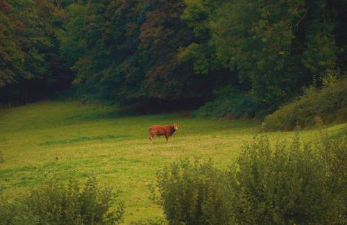 La porte bleue - Photo 8