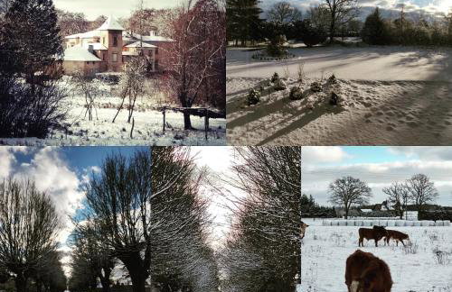 Pałac Paprotno - Foto 62