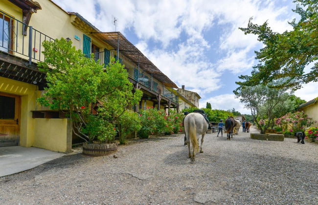 Domaine de Fraisse - Photo 55