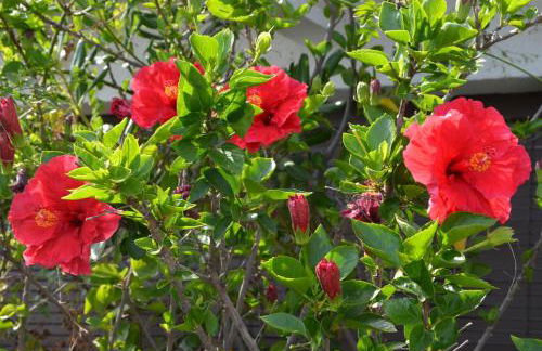 Sea view, Wonderful pool, Nature, Peaceful & AC - Foto 69