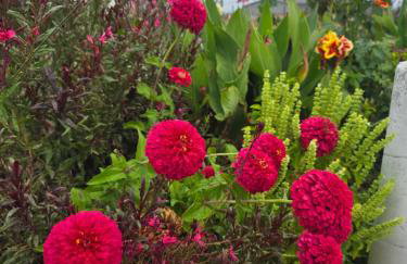 Αρχοντικό Παπανικολάου - Foto 44