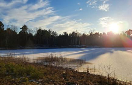 Tornower Waldhäusl, perfekt gelegen 60 km vor Berlin, auf der Schwelle zum Spreewald und nahe Tropical Islands - Foto 20