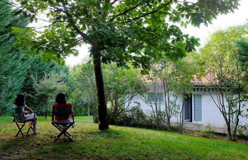 Casa do Galo / Galo House - Foto 17