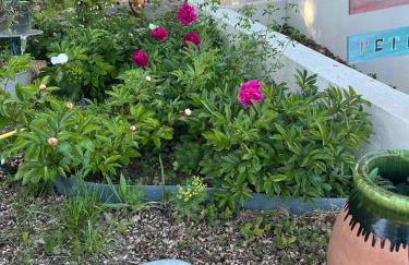 Petit Paradis - Foto 34