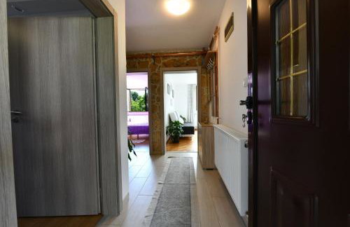 Apartment Mlađen - Foto 10