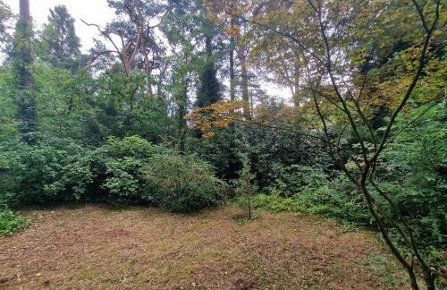 Ferienhaus Thymian in Hatten bei Oldenburg - Idyllische Waldlage - Foto 58