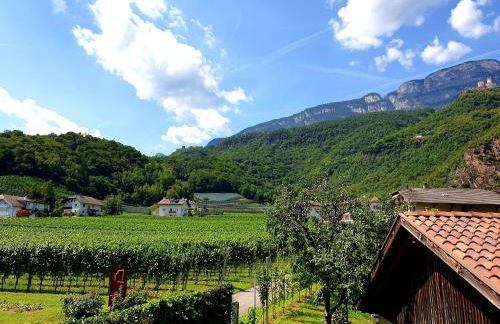 Versigglhof - Foto 18