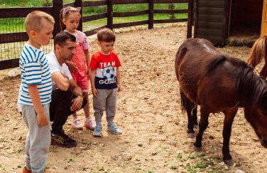 Kraina Poraj - Foto 64