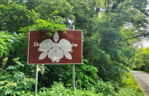 Siedlisko Na Szlaku Odry - Foto 38