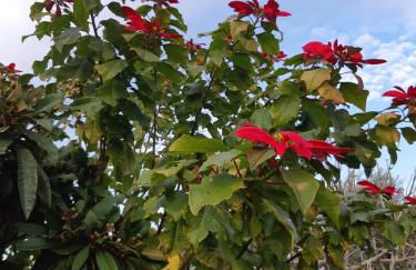 Casa le Gebbie - Photo 58