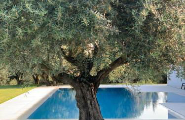 White Olive Villas - Foto 11