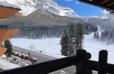 NIGRITELLA - Foto 23