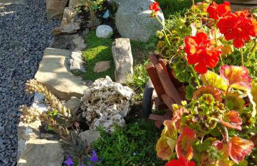 Willa Różana - Foto 31