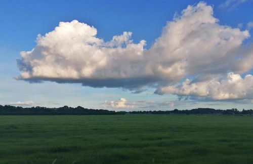 Casa Foresta - minimalistisches 1-Raum Tiny House direkt am Wald - Foto 20