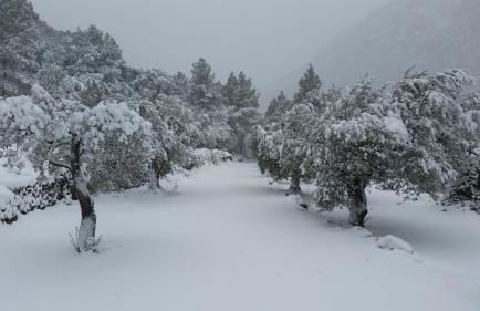 Casa Rural Cal Puyo - Foto 8