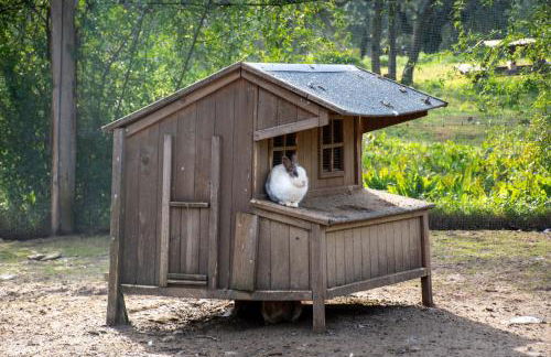 Fattoria di Maiano - Foto 18