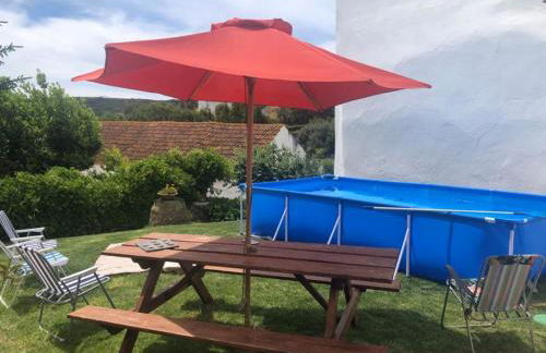 Casa da Palmeira - Foto 24