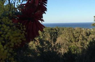 Holiday Home Villa Belle Vue- direkt am Meer- 1-2 Haustiere erlaubt by Interhome - Foto 23