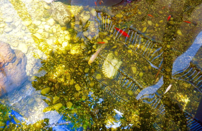 Riverside by the Beach Apartments - Foto 26