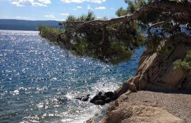 Apartmani Milka i Jozo - Foto 36