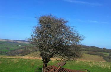 Luxury Exmoor Barn conversion with Sauna - Foto 27