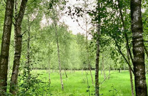 Cosy Concept - nahe Hamburg - Foto 36