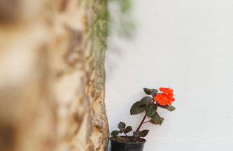 casa Robaleira - Foto 19