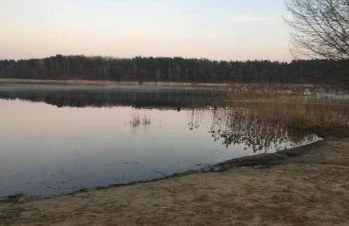 Wikno 3 Woda i Las - Foto 69