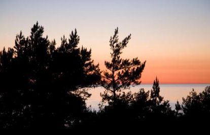 Ferienwohnungen Fischland - Foto 12