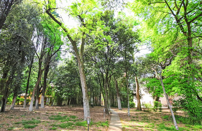 Montecorneo - Foto 15