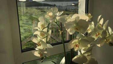 Harris White Cottage - Foto 4